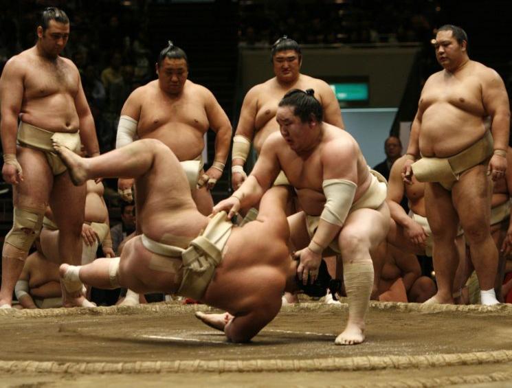 combat-de-sumo-a-tokyo_diaporama.jpg